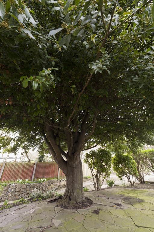 Отель Bay Tree Бродстейрс Экстерьер фото